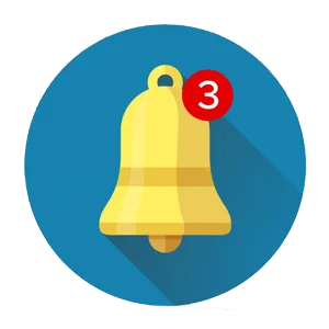 customization-in-wms